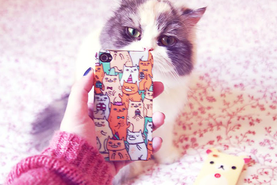 Furby VS la coque iphone