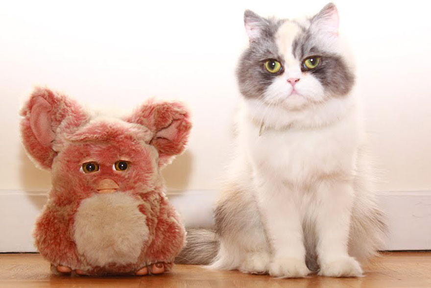 Furby et Furby