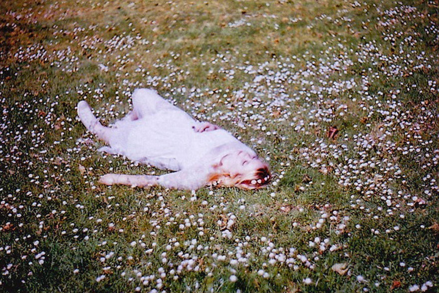 Katia sur l'herbe