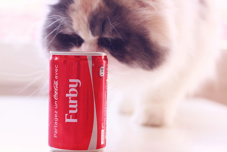 Chat persan Coca cola