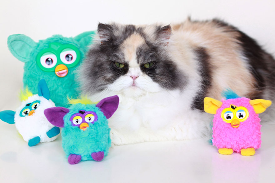 Furby Team