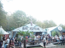 rock en seine 2015