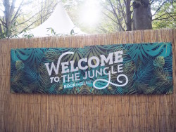 rock en seine 2015