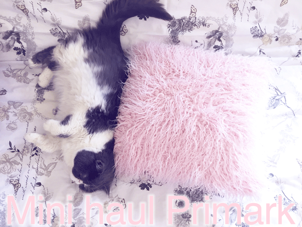 haul primark octobre 2015