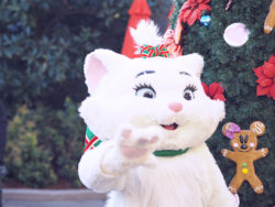 disneyland paris noel
