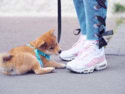 nike monki