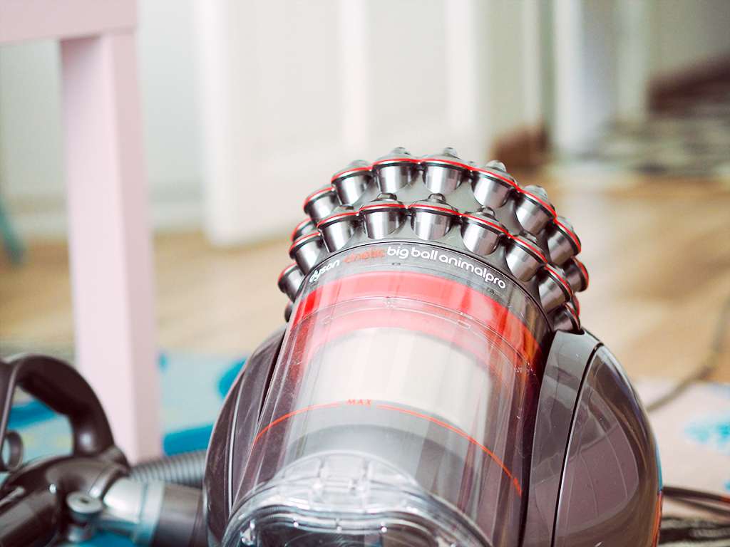 dyson cinetic animal big ball pro