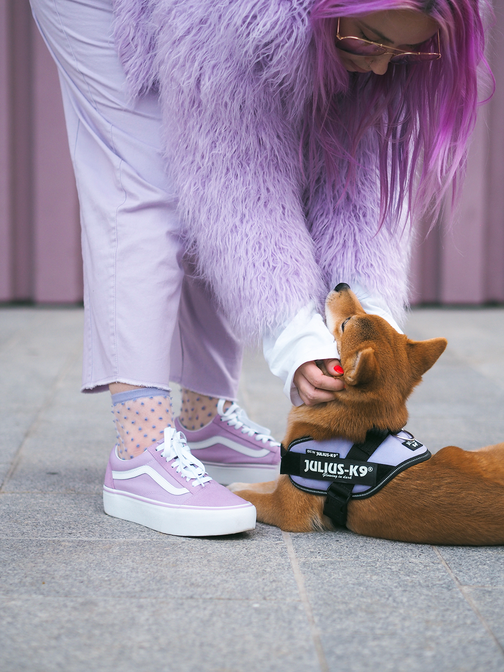 asos shiba inu vans