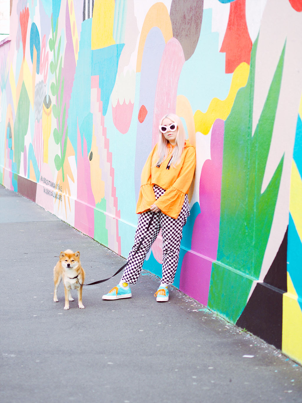 shiba inu paris monki converse golf fleur