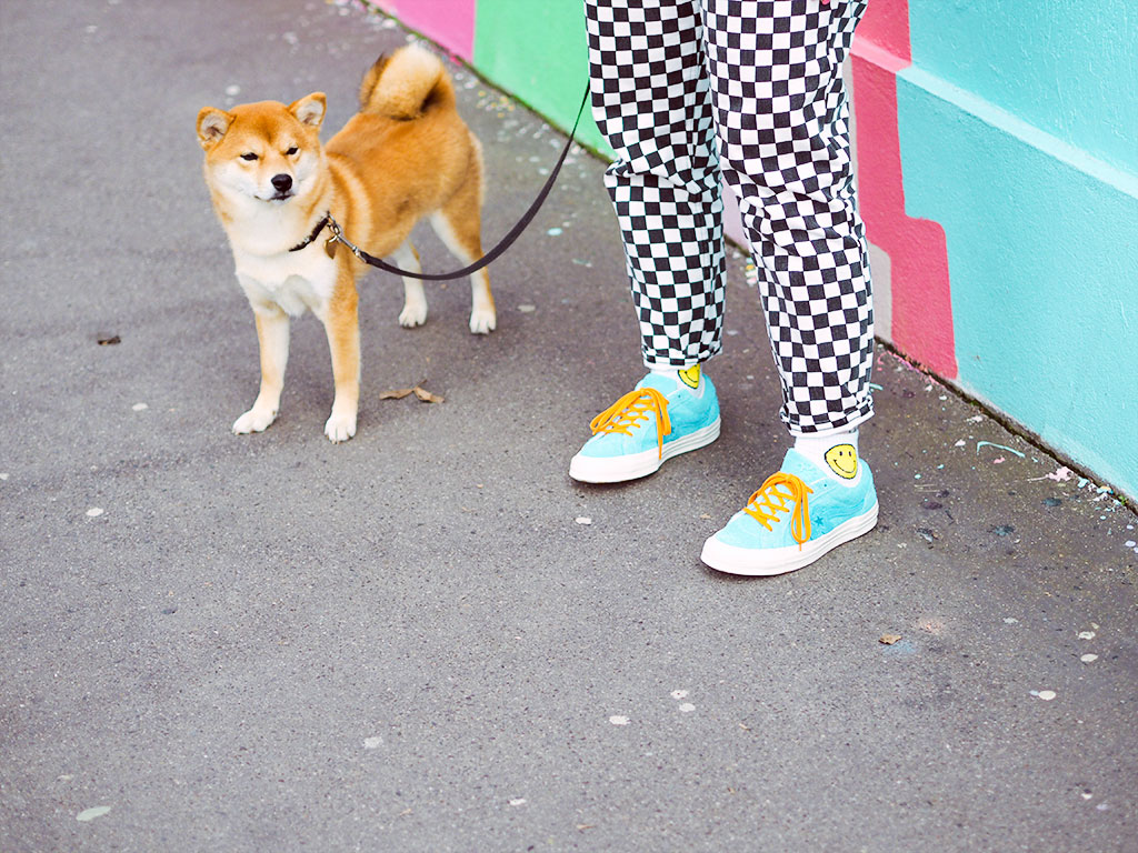 shiba inu paris monki converse golf fleur