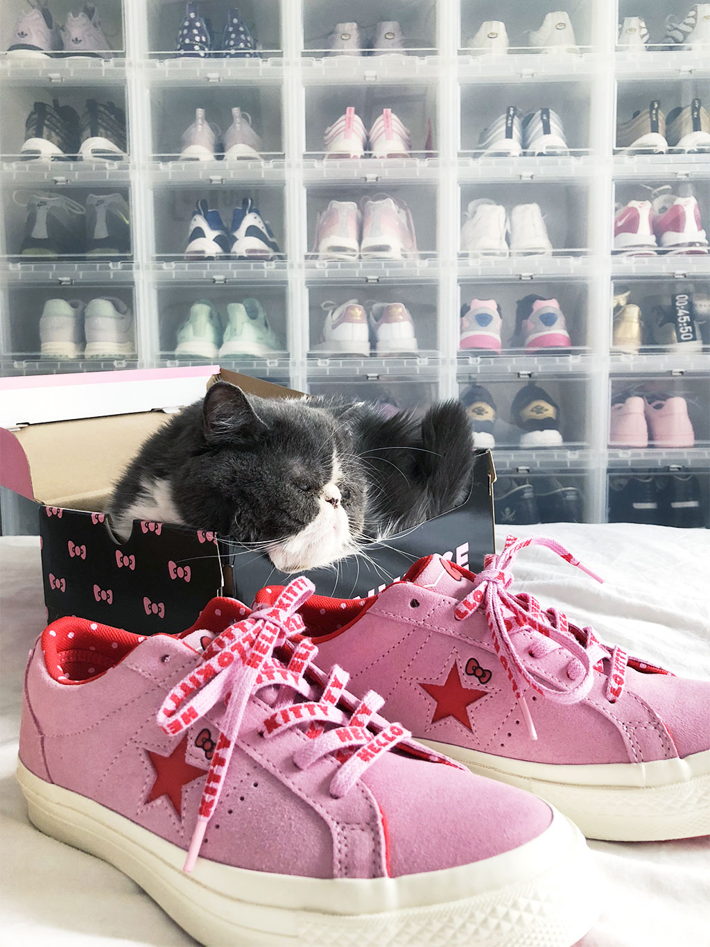 converse hello kitty one star