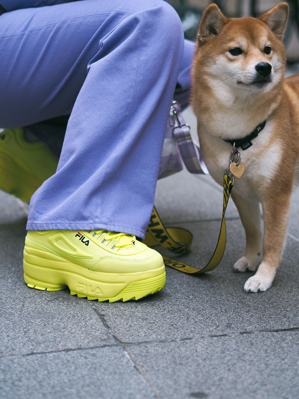 fila disruptor platform lime fluo shiba inu