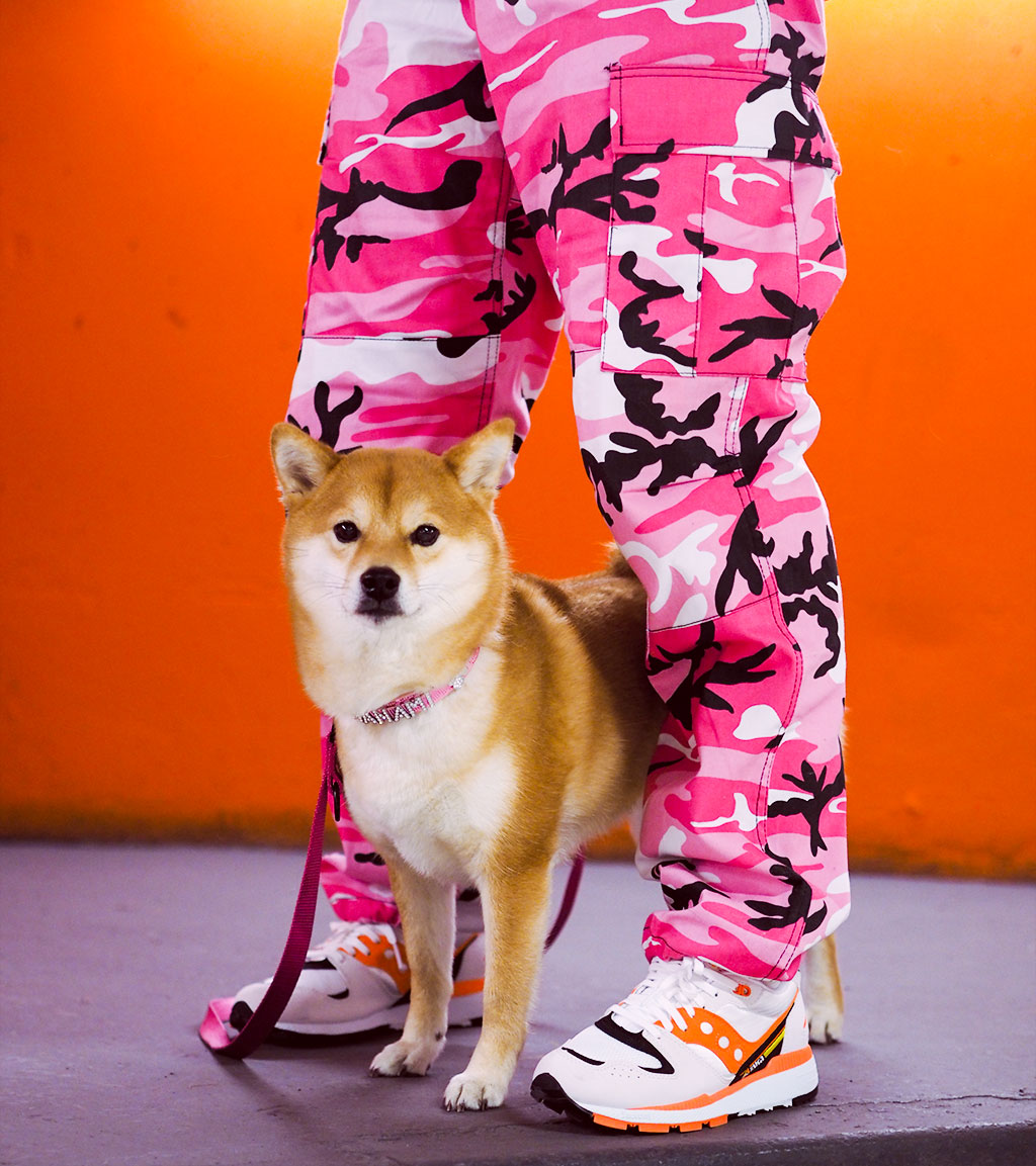 pink camo shiba inu saucony azura