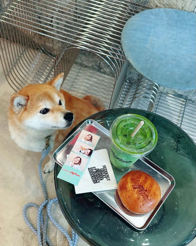 New favorite coffee shop unlocked 🍵 @stuffburn.bc 💚

Wanted to try it for a while and wasn't disappointed, delicious pistachio brioche and matcha + a photobooth inside I mean 🤌🏻

#stuffburn #bonneadresseparis #coffeeshop